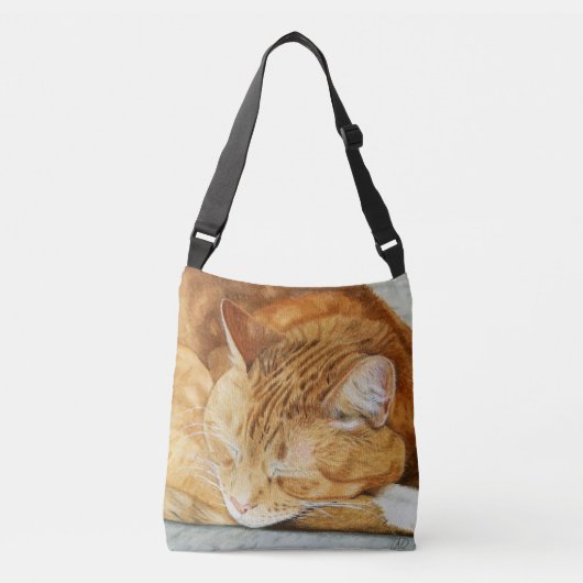Sac de carrosserie Ginger Cat (Devant)