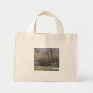 Sac de cerf