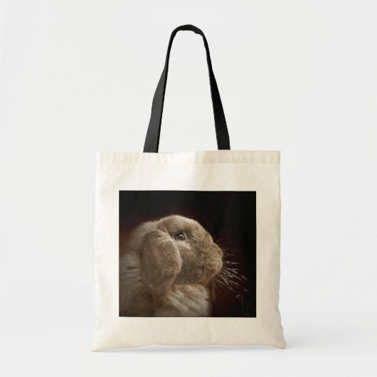 Sac de haricots (Devant)