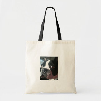 Sac de Jake