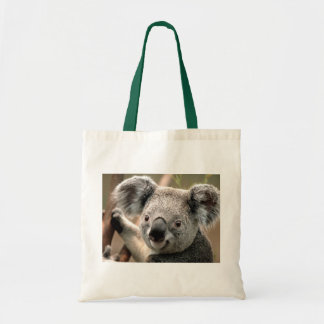 Sac de koala