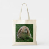Sac de lapin malin (Dos)