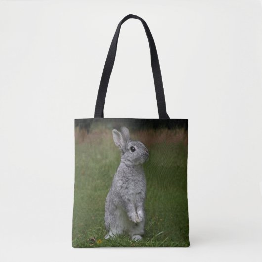 Sac de lapin mignon bébé (Devant)