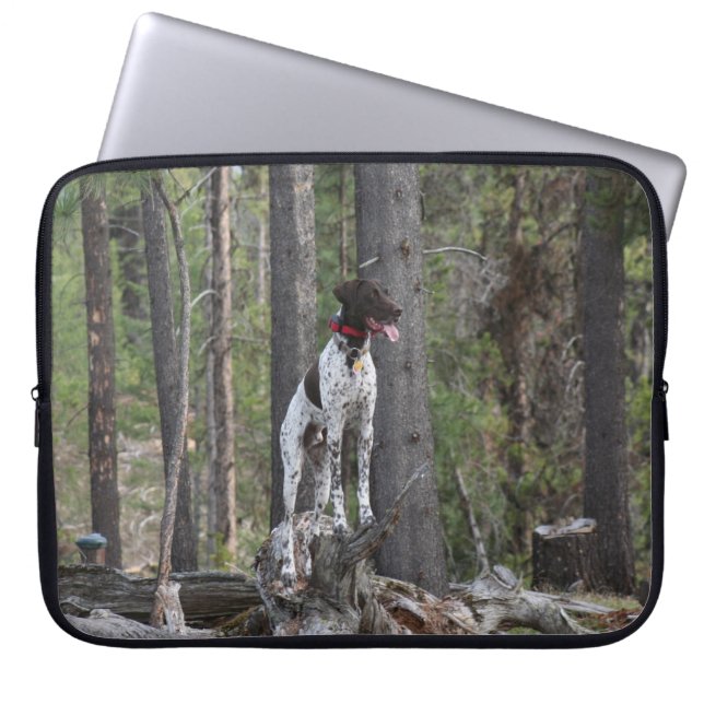 Sac de l'électronique - indicateur de Shorthair (Devant)