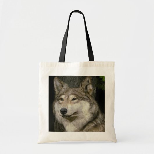 Sac de loup (Devant)