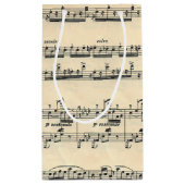 Sac de musique feuille (Dos)