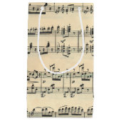 Sac de musique feuille (Devant)