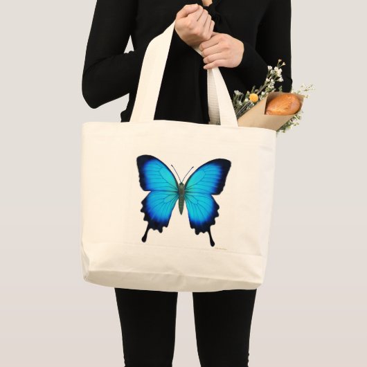 Sac de papillon de Papilio Ulysse (Devant (produit))