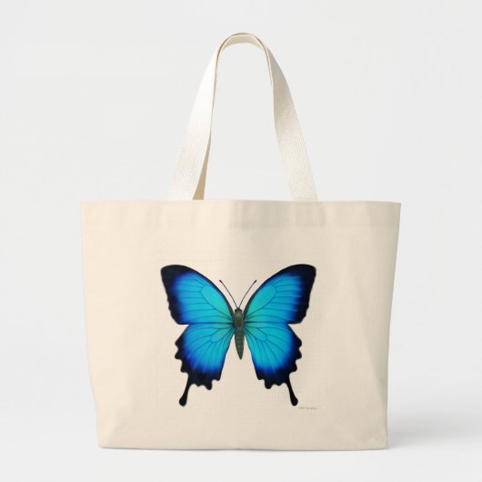 Sac de papillon de Papilio Ulysse (Devant)