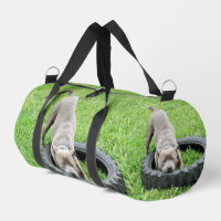 Jeune Joueur du Staffordshire Bull Terrier,