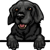 Sac De Sport Nom du chien ou votre nom, Labrador Retriever + Pa