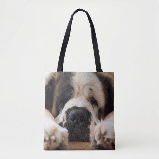 Sac de St Bernard (Devant)