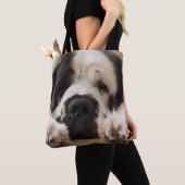 Sac de St Bernard (De près)