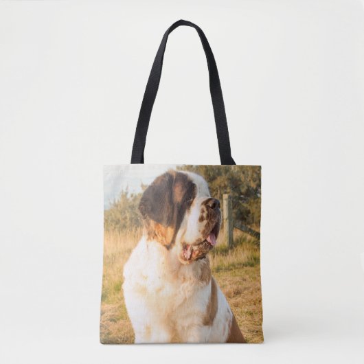 Sac de St Bernard (Devant)