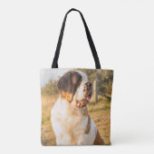 Sac de St Bernard (Dos)
