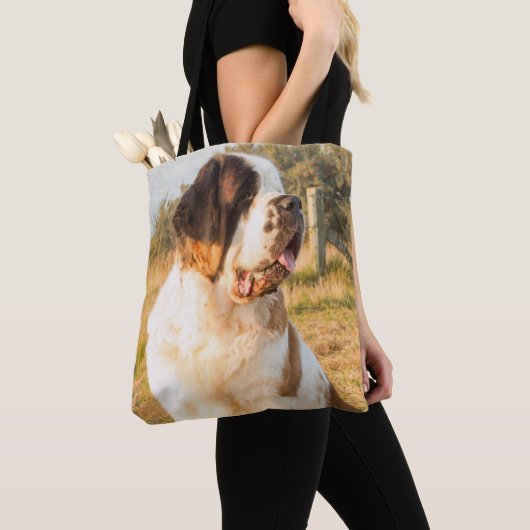 Sac de St Bernard (De près)