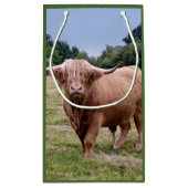 Sac des montagnes de cadeau de vache (Dos)