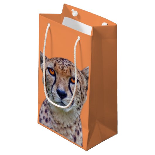 Sac d'or de cadeau de yeux (Devant Angle)