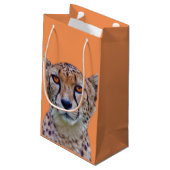 Sac d'or de cadeau de yeux (Dos Angle)