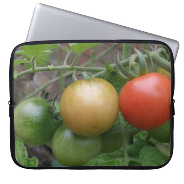 Sac d'ordinateur portable à tomates léger de circu (Devant)