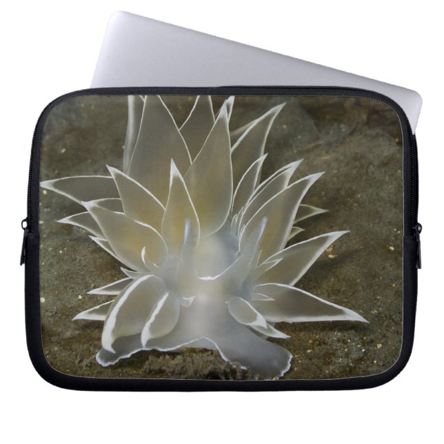 Sac électronique Alabaster Nudibranche (Devant)