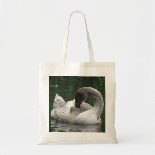Sac en cygne dormant (Devant)