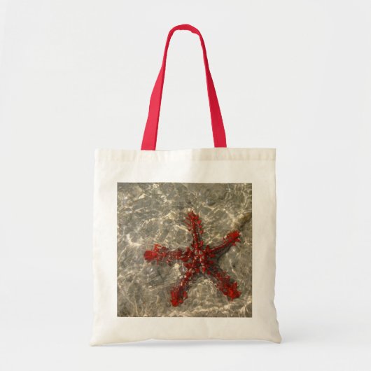 Sac en forme d'étoile de mer (Devant)