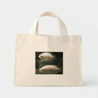 Sac Fishies