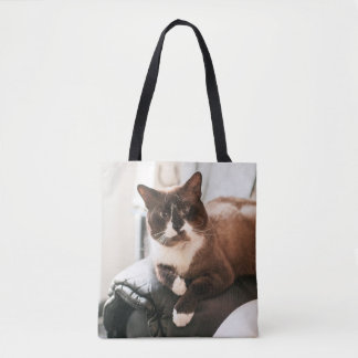 Sac fourre-tout à chat