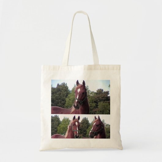 Sac fourre-tout à cheval (Devant)