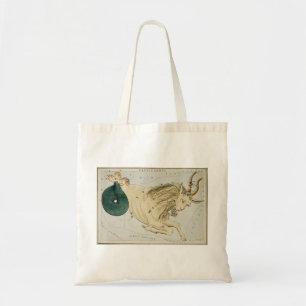 Sac fourre-tout Capricorn
