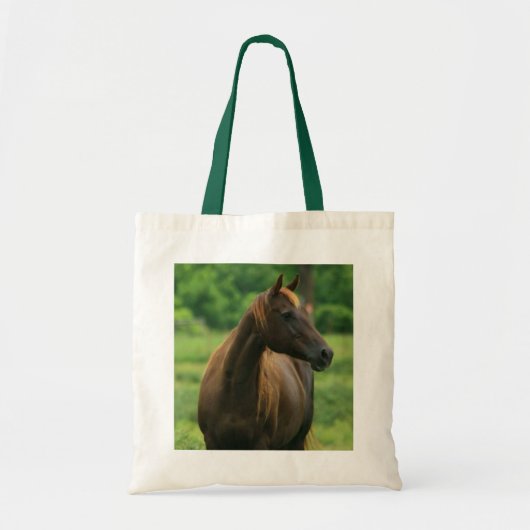 Sac fourre-tout Cheval de Châtaignes (Devant)