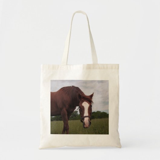 Sac fourre-tout de chaleur Alpha (Devant)