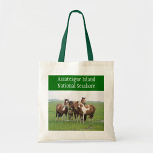 Sac fourre-tout de l'île d'Assateague