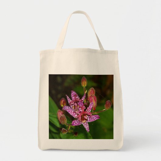 Sac fourre-tout de Toad Lily (Devant)