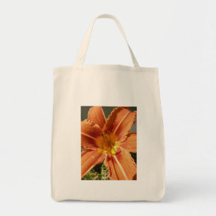 Sac fourre-tout du jour