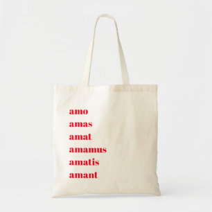 Sac fourre-tout latin, Amo Amas Amat, Thème School