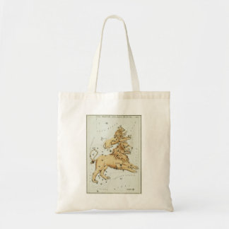 Sac fourre-tout Leo
