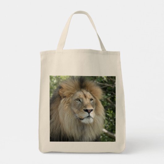 Sac fourre-tout Lion (Dos)