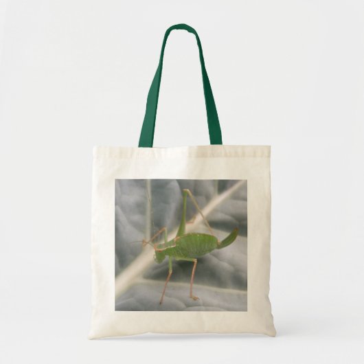 Sac fourre-tout Macro cricket vert (Devant)