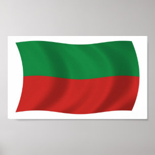 Sac & Fox Nation (Iowa) Vlag Poster Print