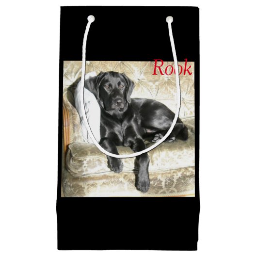 Sac Labradors de cadeau (Devant)