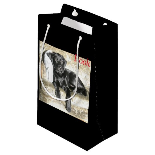 Sac Labradors de cadeau (Devant Angle)