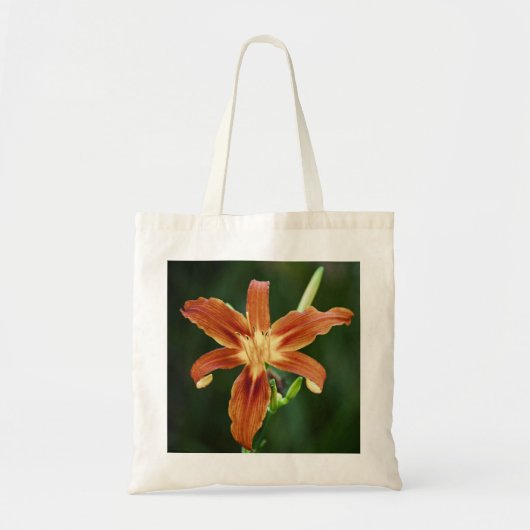 Sac Lily P6588 (Devant)