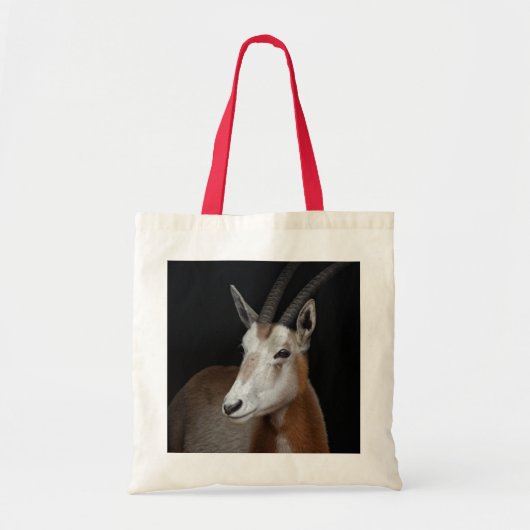 Sac Oryx (Devant)