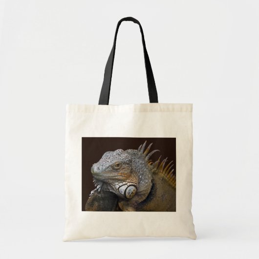 Sac Petit Dragon (Devant)