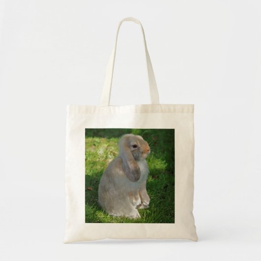 Sac pour lapin Baby Minilop (Devant)