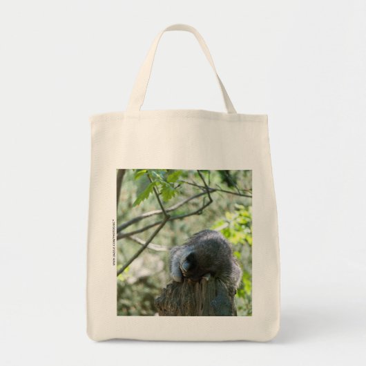 Sac Raton Laveur (Devant)