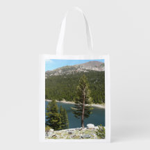 Lac Tenaya dans le parc national de Yosemite