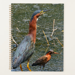 Sac réutilisable pour épicerie Green Heron